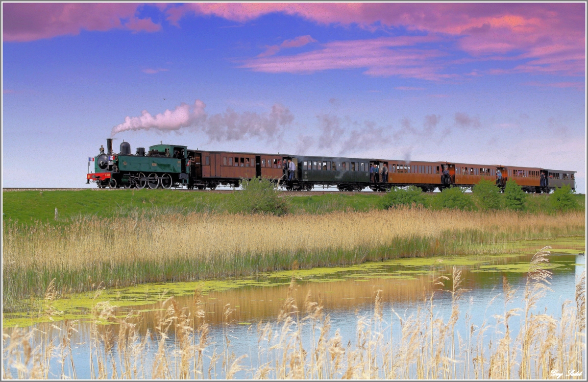 Petit Train de Baie de Somme - CAMPING LA FERME DE MAYOCQ